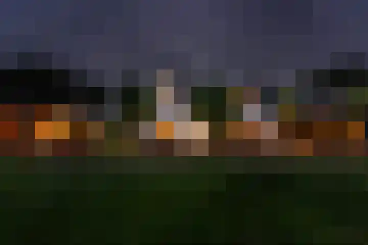 Essendijk 72 Rhoon thumbnail 66
