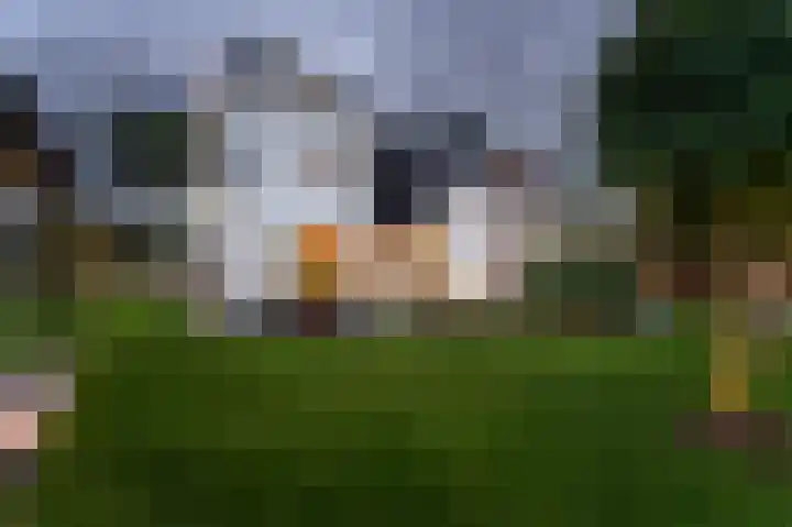 Essendijk 72 Rhoon thumbnail 67