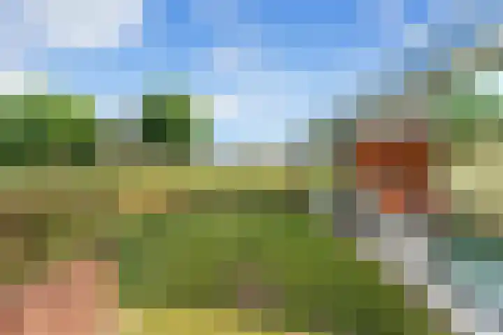 Essendijk 72 Rhoon thumbnail 7