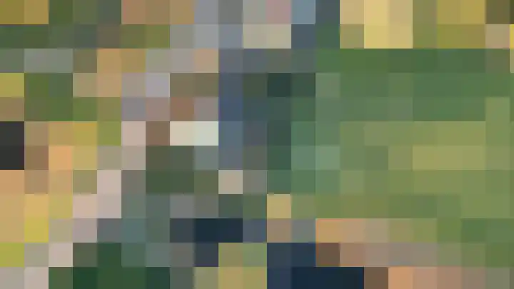 Essendijk 72 Rhoon thumbnail 72