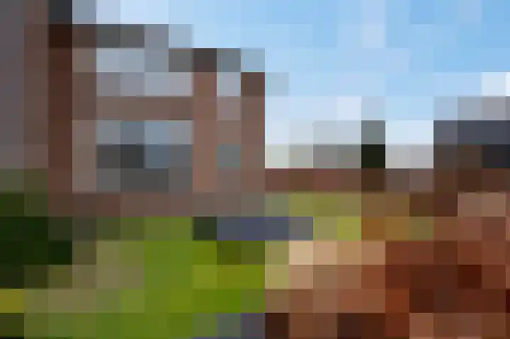 Essendreef 2 Giethoorn thumbnail 30