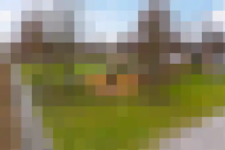 Essendreef 2 Giethoorn thumbnail 37