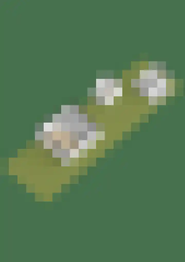 Essendreef 2 Giethoorn thumbnail 48