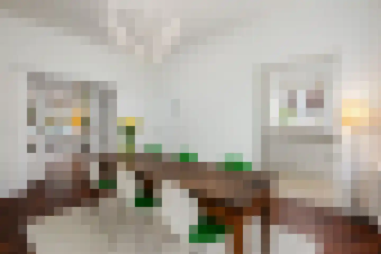 Essenlaan 11 Rotterdam thumbnail 10