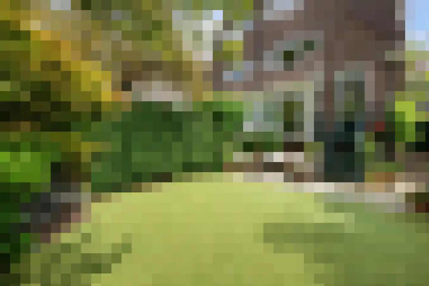 Essenlaan 11 Rotterdam thumbnail 17