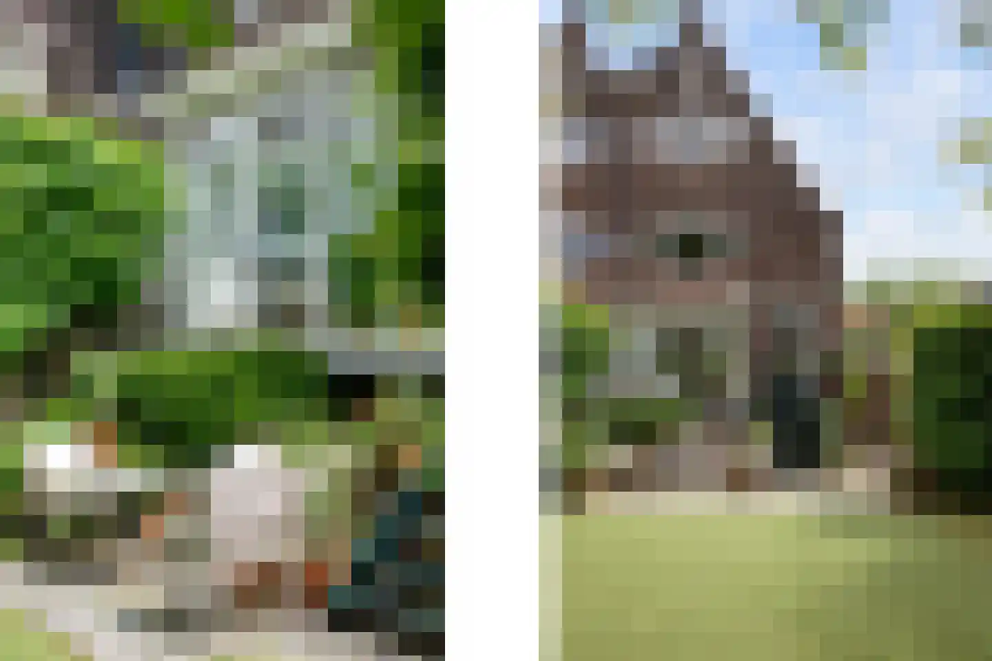 Essenlaan 11 Rotterdam thumbnail 22