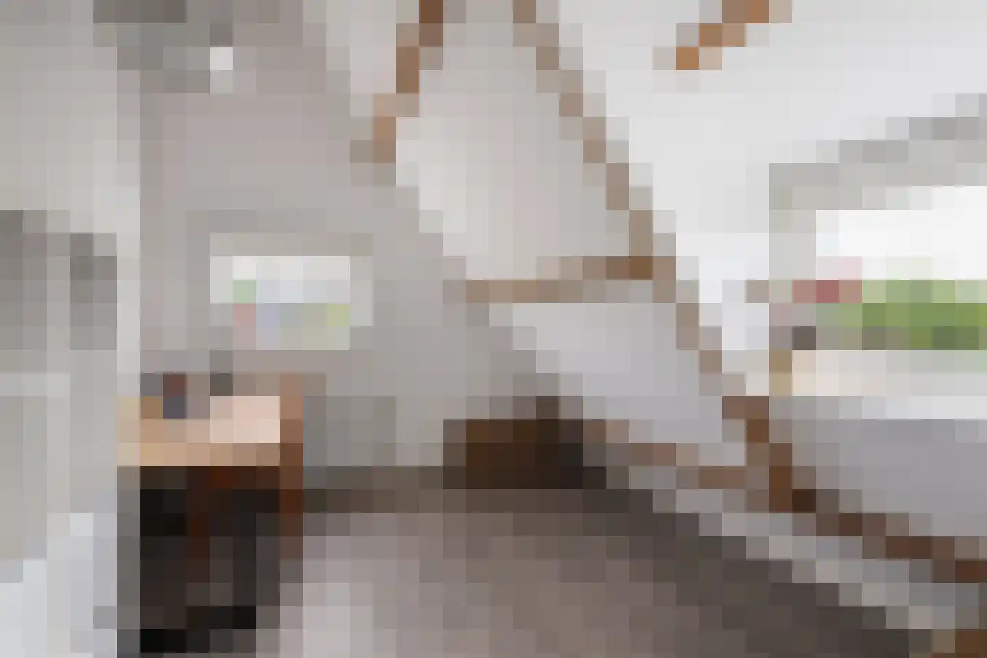 Essenlaan 11 Rotterdam thumbnail 36