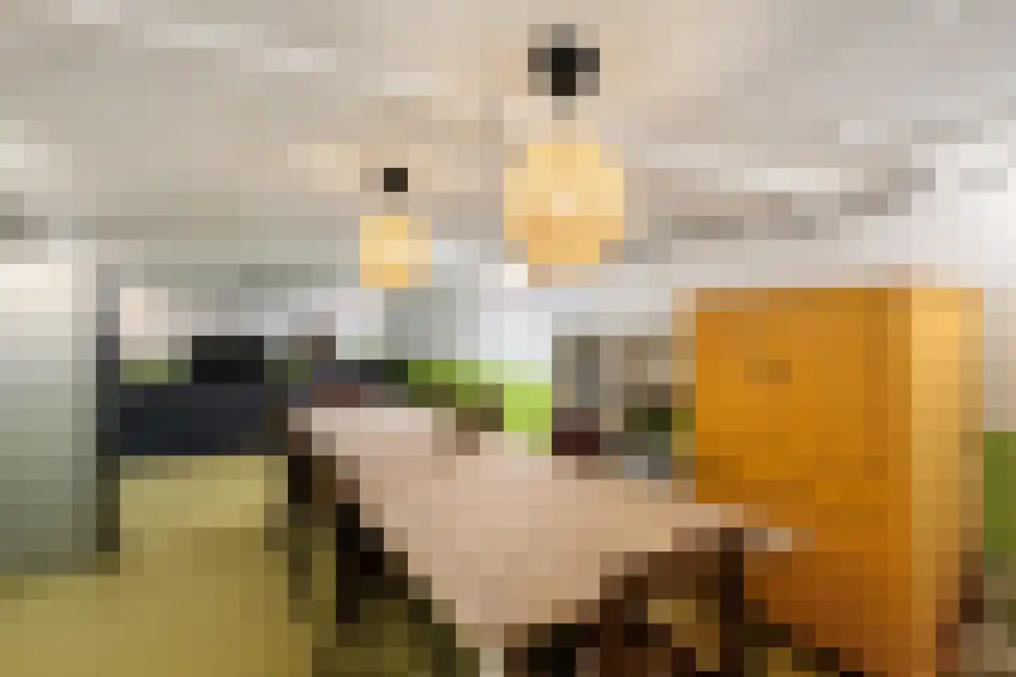 Essenlaan 11 Rotterdam thumbnail 38