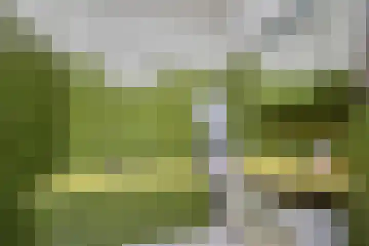 Essenlaan 19 Woerden thumbnail 36