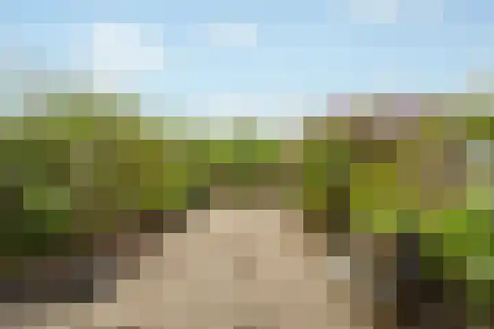 Essenlaan 19 Woerden thumbnail 46