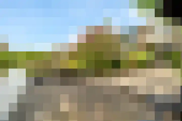 Essenlaan 19 Woerden thumbnail 49