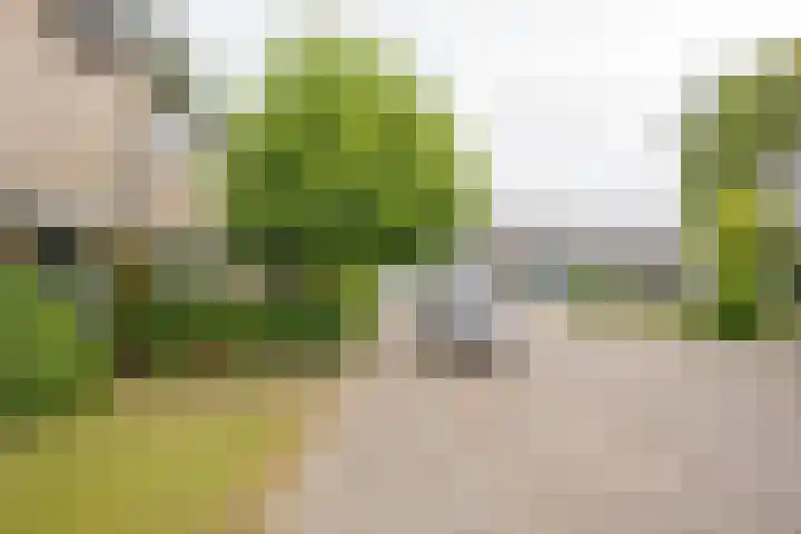 Essenlaan 3 Nijkerk thumbnail 31