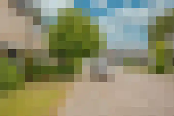 Essenlaan 3 Nijkerk thumbnail 35