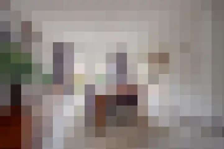 Essenlaan 3 Nijkerk thumbnail 6