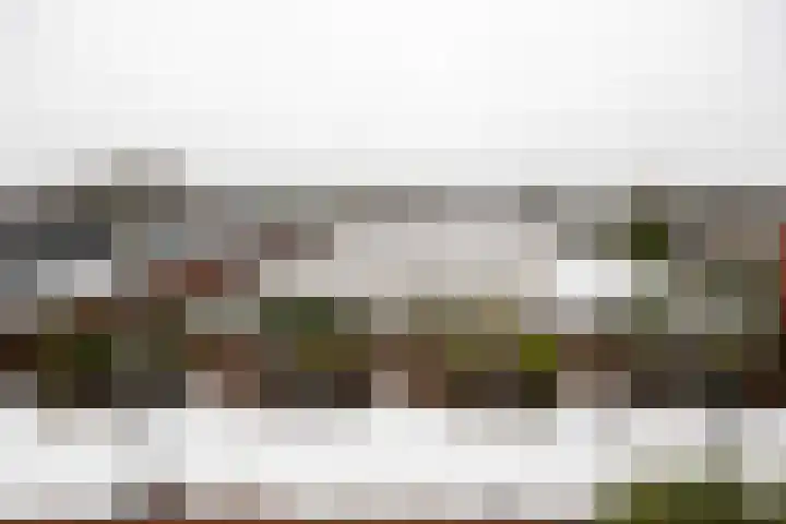 Essenlaan 6 D Ter Aar thumbnail 14