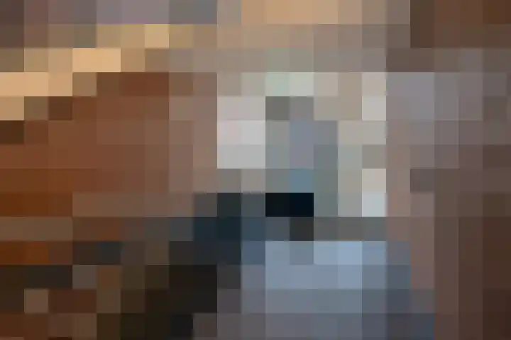 Essenlaan 6 D Ter Aar thumbnail 15