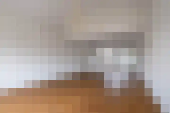 Essenlaan 6 D Ter Aar thumbnail 6