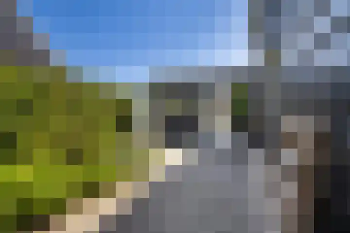 Essenlaan 96 Dirksland thumbnail 11