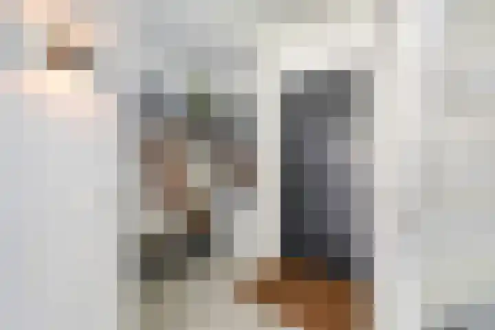 Essenlaan 96 Dirksland thumbnail 12