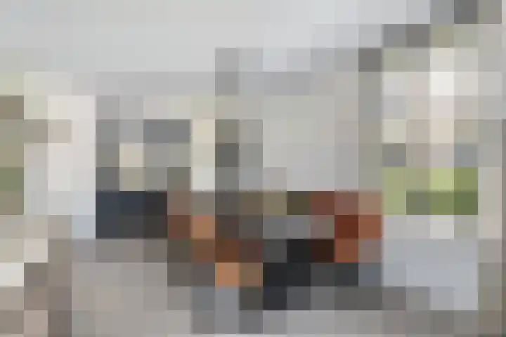 Essenlaan 96 Dirksland thumbnail 26