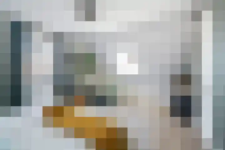 Essenlaan 96 Dirksland thumbnail 31