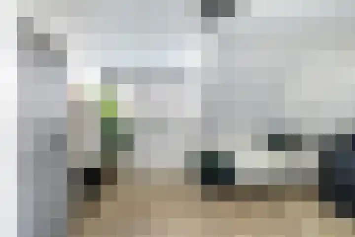 Essenlaan 96 Dirksland thumbnail 34