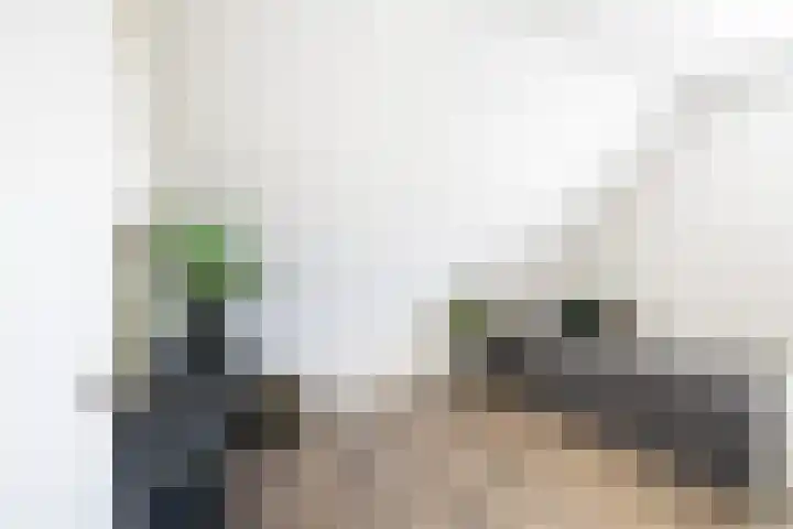 Essenlaan 96 Dirksland thumbnail 37