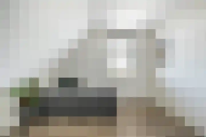 Essenlaan 96 Dirksland thumbnail 38