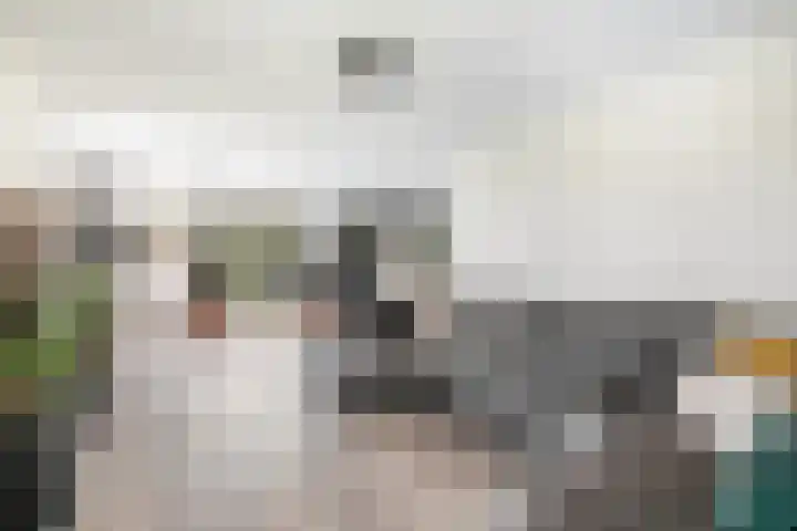 Essenlaan 96 Dirksland thumbnail 4
