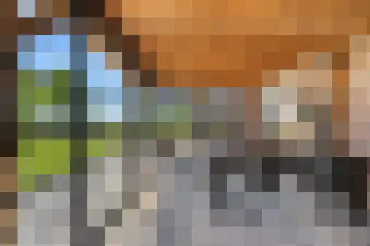 Essenlaan 96 Dirksland thumbnail 47