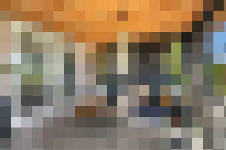 Essenlaan 96 Dirksland thumbnail 48