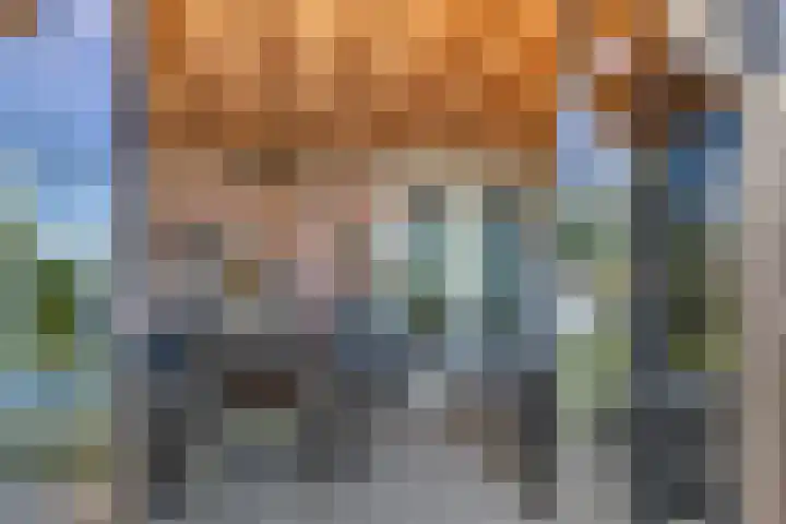 Essenlaan 96 Dirksland thumbnail 49