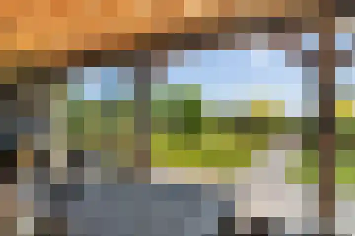 Essenlaan 96 Dirksland thumbnail 50