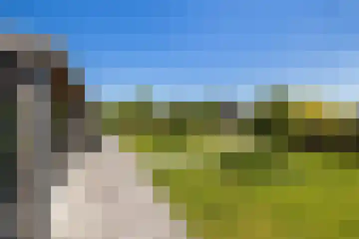 Essenlaan 96 Dirksland thumbnail 51