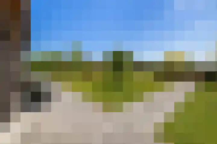 Essenlaan 96 Dirksland thumbnail 52