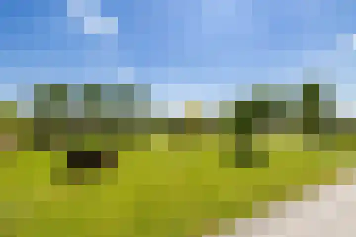 Essenlaan 96 Dirksland thumbnail 53