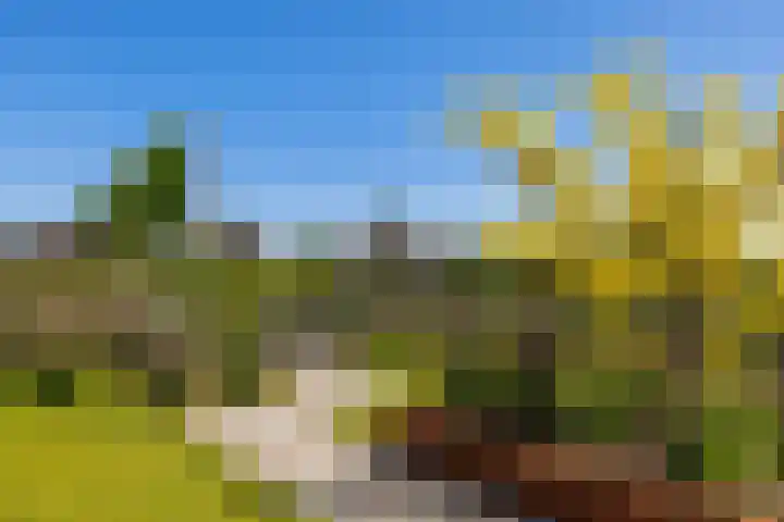 Essenlaan 96 Dirksland thumbnail 54