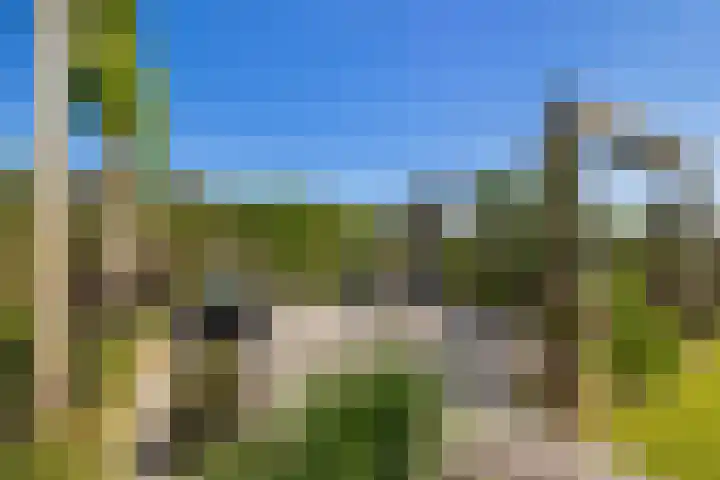 Essenlaan 96 Dirksland thumbnail 55