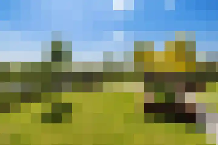 Essenlaan 96 Dirksland thumbnail 56