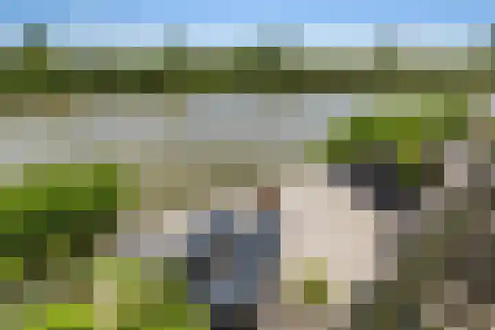 Essenlaan 96 Dirksland thumbnail 57