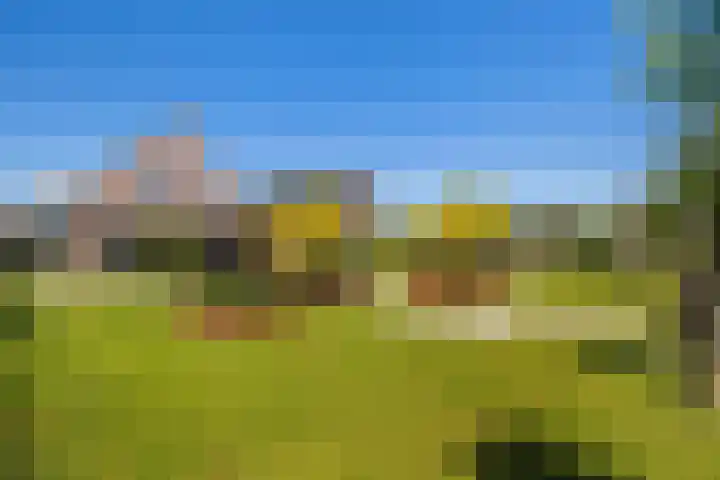 Essenlaan 96 Dirksland thumbnail 58