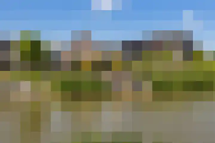 Essenlaan 96 Dirksland thumbnail 6