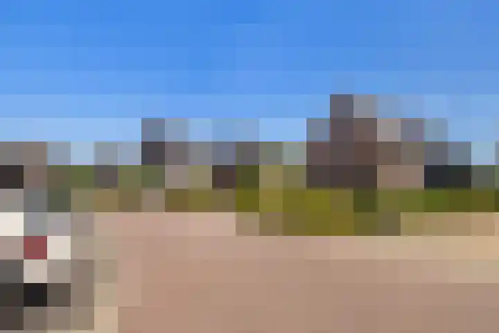 Essenlaan 96 Dirksland thumbnail 61