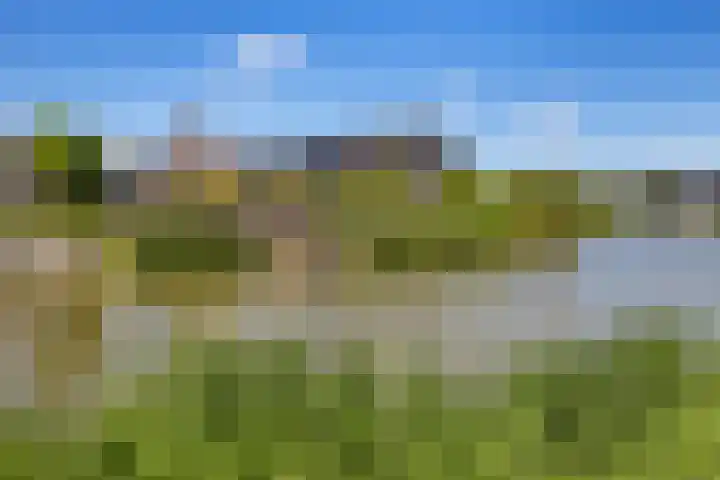 Essenlaan 96 Dirksland thumbnail 62