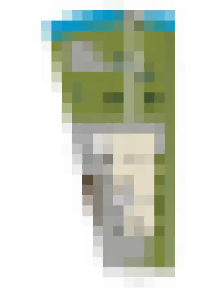 Essenlaan 96 Dirksland thumbnail 70