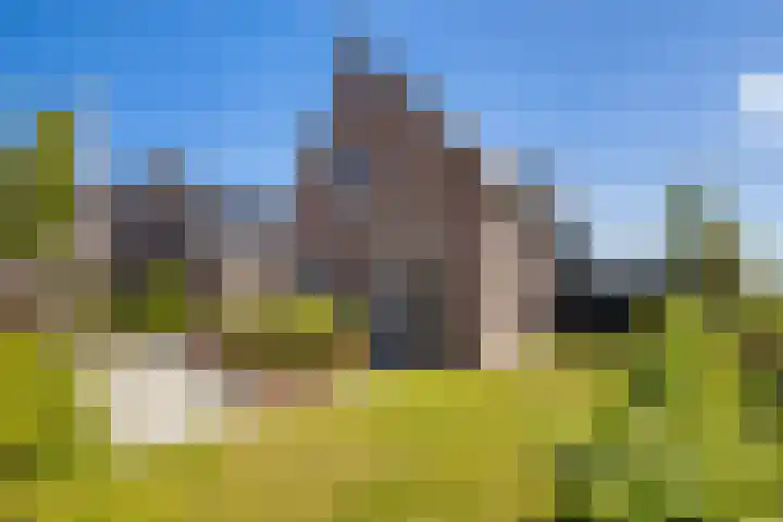Essenlaan 96 Dirksland thumbnail 8