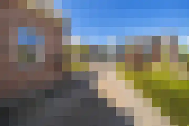 Essenlaan 96 Dirksland thumbnail 9