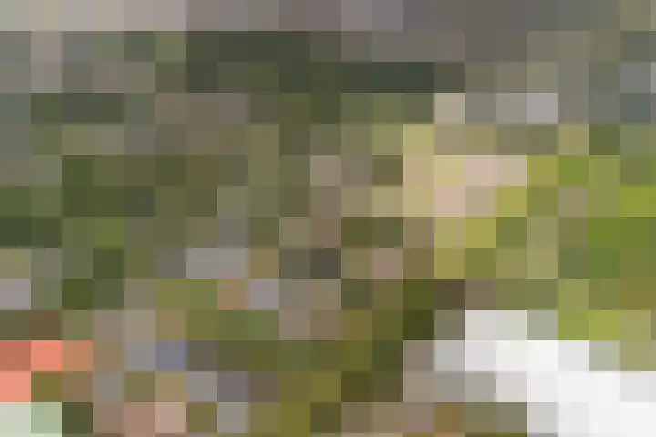 Essenpark 3 Leiderdorp thumbnail 10