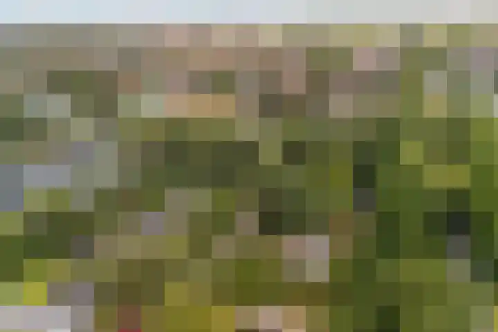 Essenpark 3 Leiderdorp thumbnail 11