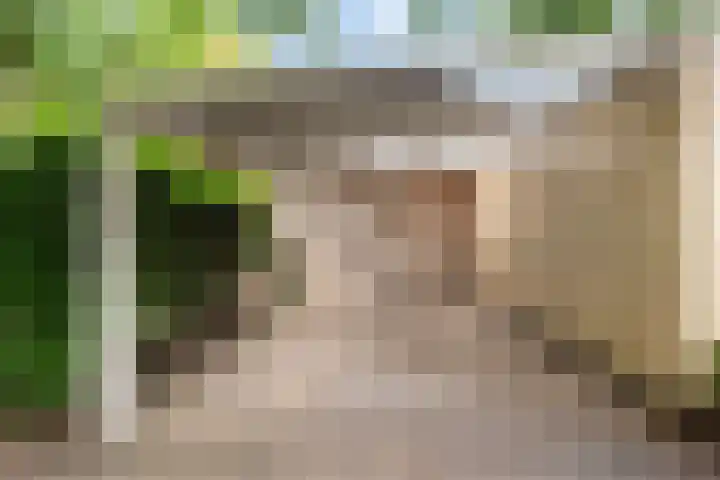 Essenpark 3 Leiderdorp thumbnail 13